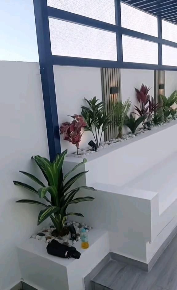 نخيل وقص الأشجار 0560305342 تنسيق حدايق تركيب عشب صناعي تركيب عشب…