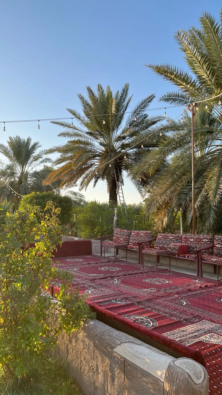 نخيل وقص الأشجار 27f99916 cedc 40ed 8666 8bae859e6332