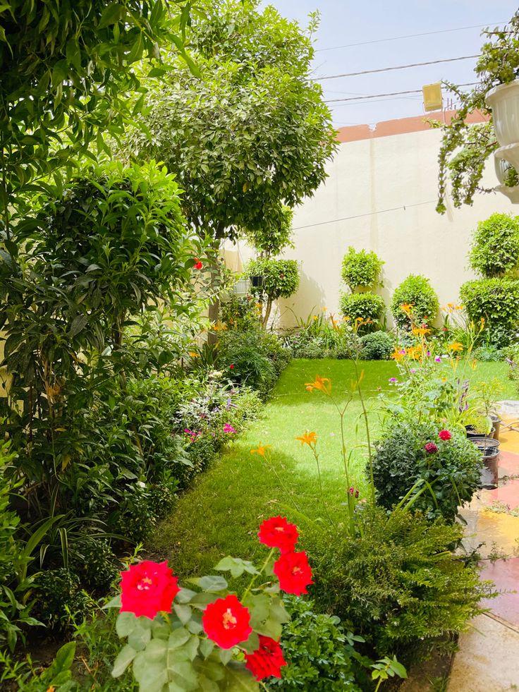 نخيل وقص الأشجار 6f370110 66be 40d9 9cdc dd9ec5652953