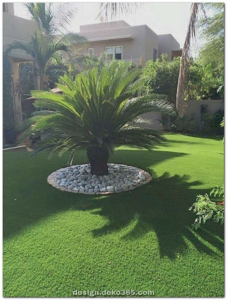 نخيل وقص الأشجار backyard patio design ideas !