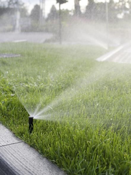 معرض أعمالنا lawn irrigation needs