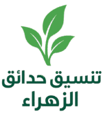 chatgpt image sep 15, 2025, 08 56 55 am