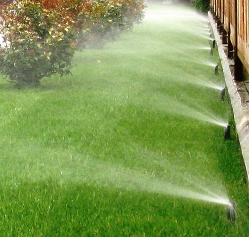 معرض أعمالنا #системы полива #автоматический полив…