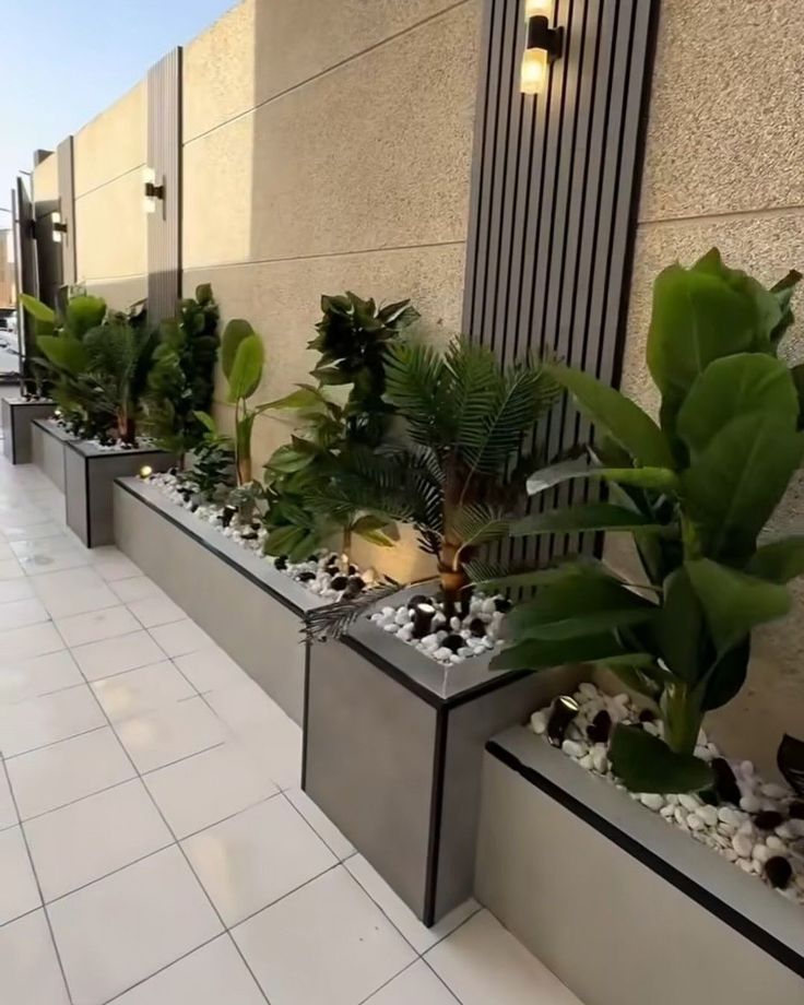 نخيل وقص الأشجار تنسيق حدائق الدوحة وقطر شلالات متخصصون في فن…