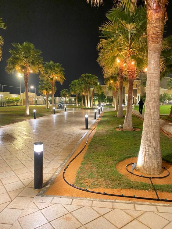 نخيل وقص الأشجار شركة تنسيق حدائق بجازان 0545963183…