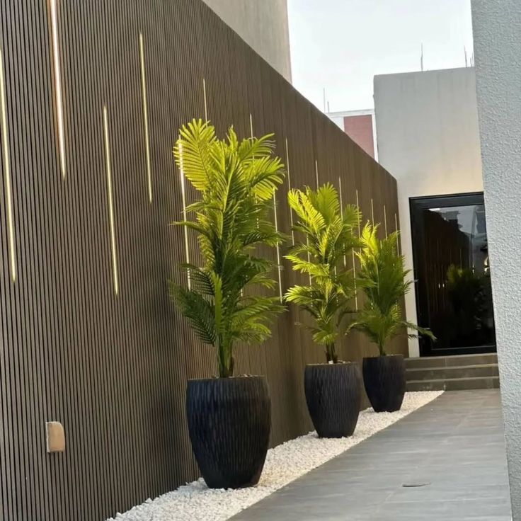 نخيل وقص الأشجار 🇶🇦 قطر تستحق الأفضل 🌱 افضل شركه فى قطر لو…